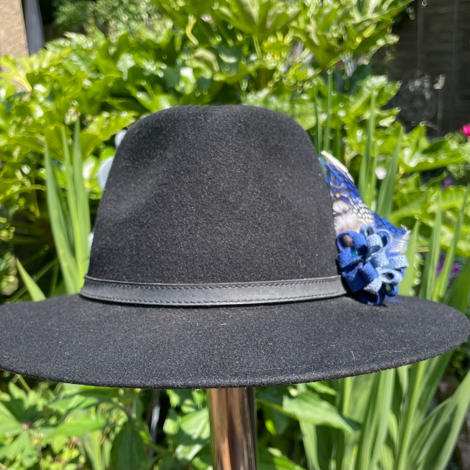 The Blue Polka