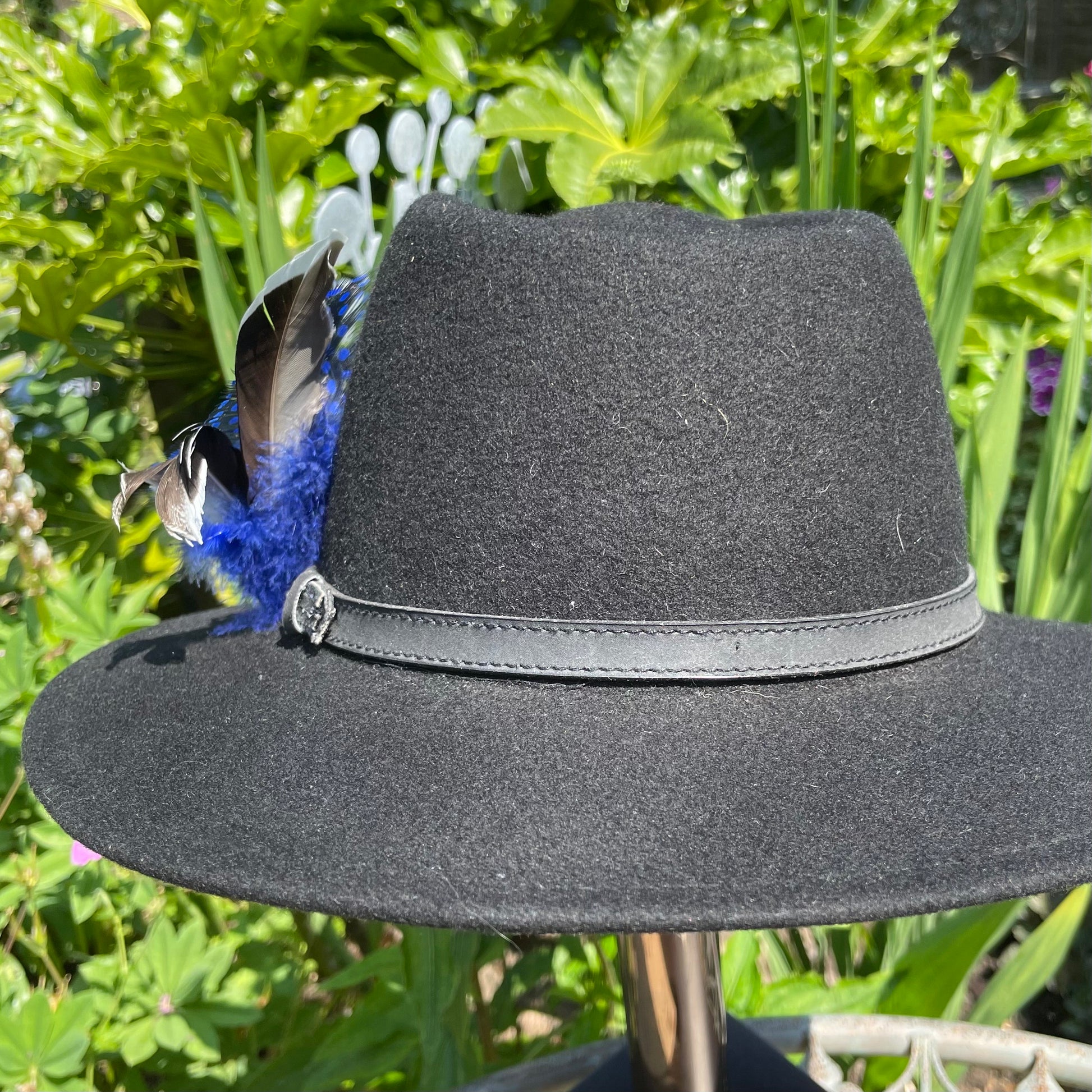 The Blue Polka