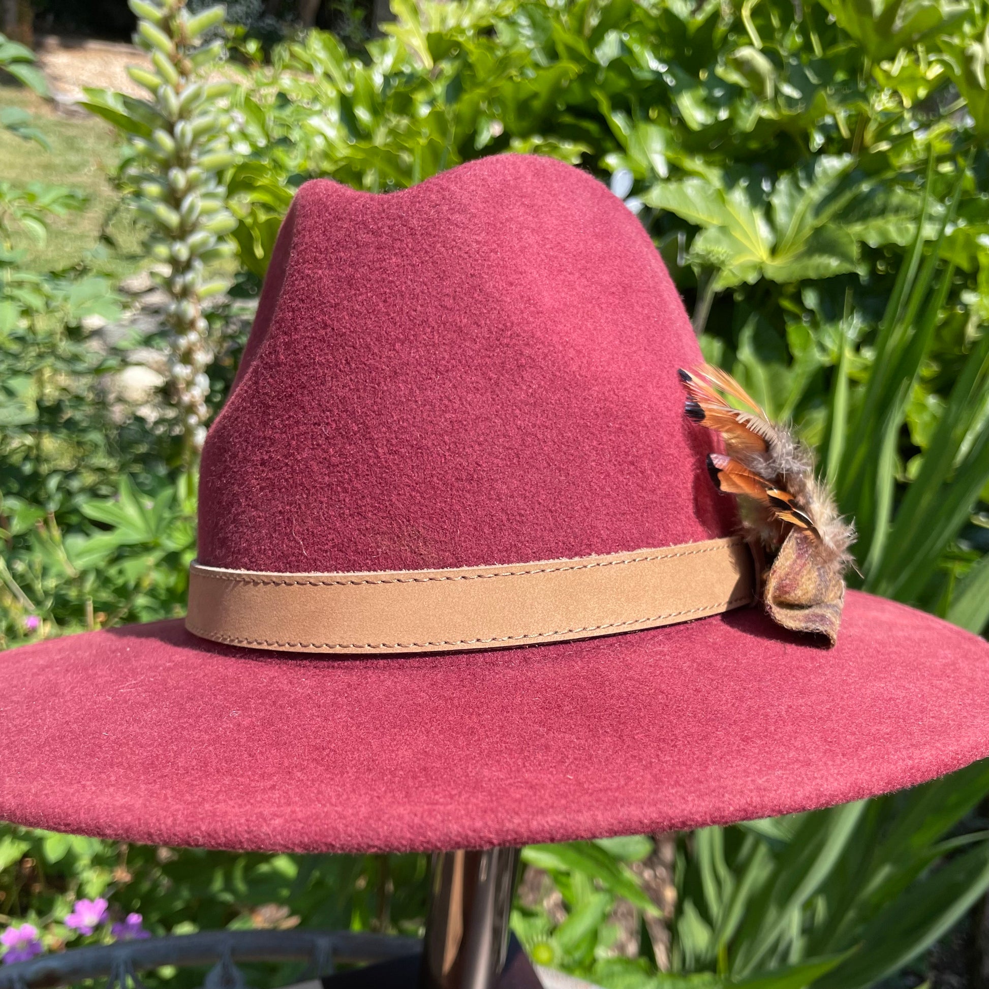 The Camel & Red Check